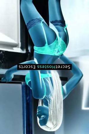 28 year old Venezuelan Escort in Copenhagen Venezuelan escort Angelina, 28, D cup, mesmerizing black 