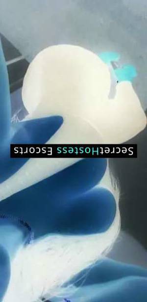 Ariana 28Yrs Old Escort 74KG 160CM Tall Manama Image - 1