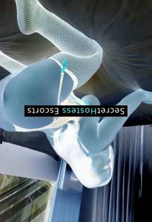26 year old Escort in Houston TX Elegant Companionship with Busty BBW Gabi