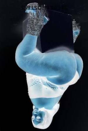 Jade 26Yrs Old Escort 162CM Tall San Francisco CA Image - 1