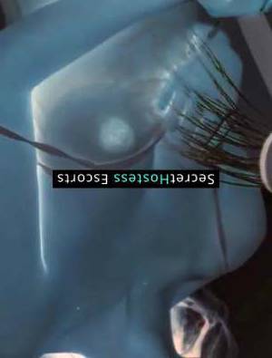 23Yrs Old Escort Tampa FL Image - 7