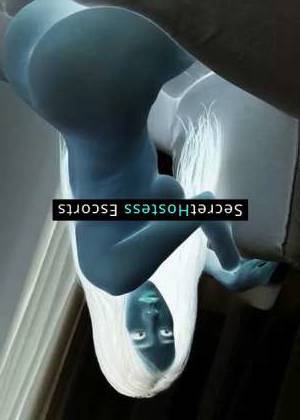 23Yrs Old Escort Tampa FL Image - 10