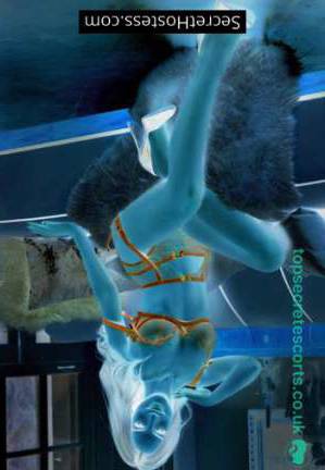 Lexi 19Yrs Old Escort 167CM Tall London Image - 1
