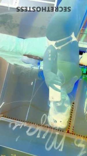 Mya 28Yrs Old Escort Baton Rouge LA Image - 4