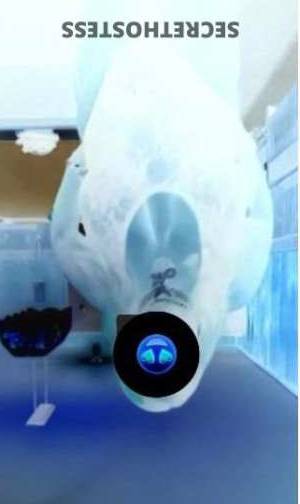 Secretz 35Yrs Old Escort Westchester NY Image - 6