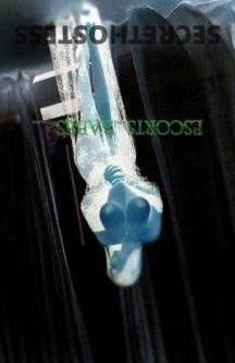 Wendy 20Yrs Old Escort Size 6 Brisbane Image - 4