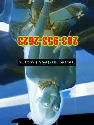 24 year old Asian Escort in New Haven CT New Arrival