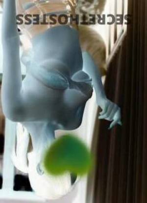 23 year old Asian Escort in Emu Heights Sydney Visit 423 Penrith Brothel for a Naughty and Fun Time with 