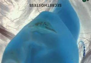 24Yrs Old Escort Bronx NY Image - 1