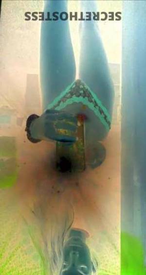 27 year old Latino Escort in Hilton Head Island SC indulge in luscious fun and sexual pleasure with a 27 years 