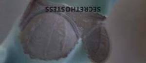 33 year old Australian Escort in Coolbinia Perth Unforgettable Experience with a Petite, Sexy 33-Year-Old 