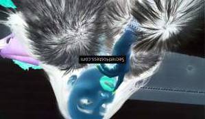 Amber Summers 28Yrs Old Escort 52KG 169CM Tall Ottawa Image - 4