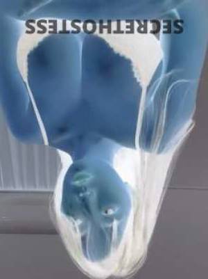 Bella 23Yrs Old Escort Sunshine Coast Image - 3