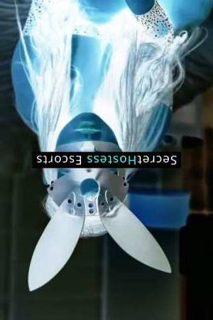 Cindy 26Yrs Old Escort Detroit MI Image - 2