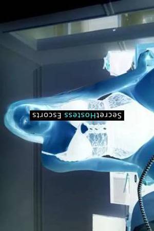 23 year old Hispanic Escort in San Jose CA New and improved escort advertisement