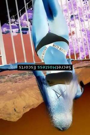 28 year old Ukrainian Escort in Vienna woman of model proportions