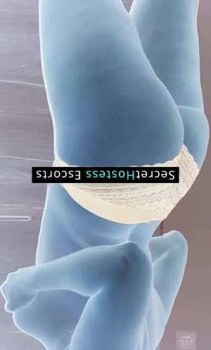 29 year old Escort in Belgrade allow me to be your ideal companion, a 29 year old escort 