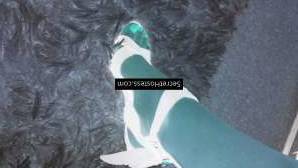 Mistress Jordyn 41Yrs Old Escort 70KG 176CM Tall Christchurch Image - 4