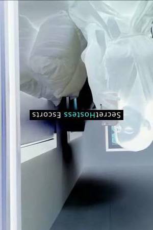 Vanessa 25Yrs Old Escort 55KG 164CM Tall Mississauga Image - 2