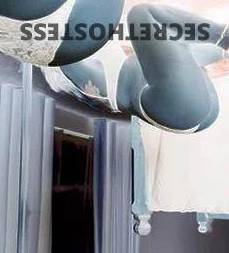 40Yrs Old Escort Size 12 Mandurah Image - 2