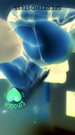 28Yrs Old Escort Albany NY Image - 3