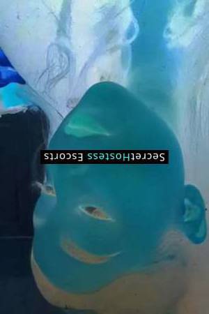 Angela 26Yrs Old Escort Austin TX Image - 1