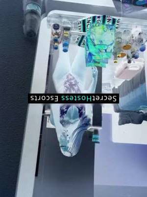 27 year old Escort in Memphis TN New Hottie in Town