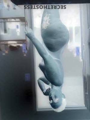 Nikki 36Yrs Old Escort Little Rock AR Image - 10
