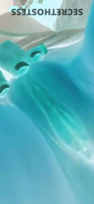 PINKPRESHAAA 28Yrs Old Escort Gainesville FL Image - 4