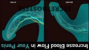 42 year old American Escort in Columbia SC Discover the Legendary Baltimore Black Beauty Former 