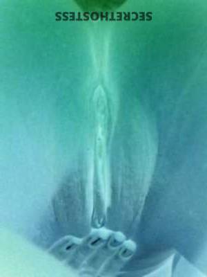 Stacey 37Yrs Old Escort Mohave County AZ Image - 11