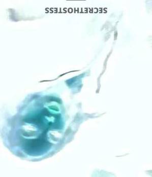 Vanessa 25Yrs Old Escort Stockton CA Image - 2