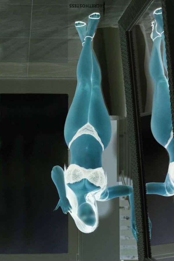 Escort 162CM Tall Tampa FL Image - 0
