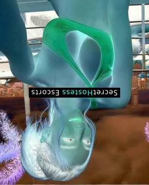 ✨Asian Beautiful Sexy girls ✨ 23Yrs Old Escort San Jose CA Image - 1