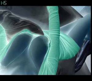 23 year old Asian Escort in Dublin Sensual Asian Escorts in Dublin