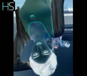 24 year old Asian Escort in Louth East Coast and Midlands Droghedaxxxx-xxx-xxx two girls massage