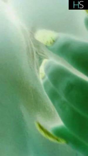 24 year old Escort in Winnipeg Horny