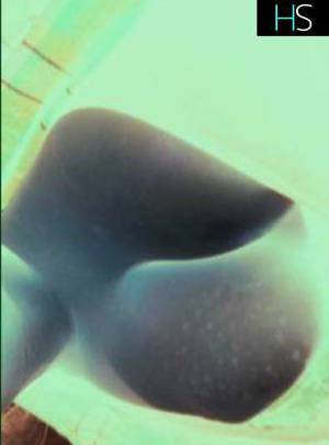 24 year old Escort in Winnipeg Tiara Sexy 24-Year-Old Hottie