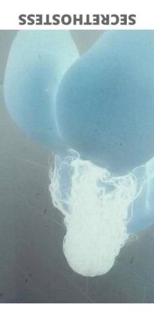 26 year old Escort in Inland Empire CA New girl in town, come to my place for private sessions