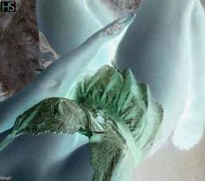 39 year old Irish Escort in Kildare East Coast and Midlands and Ireland