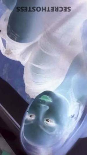 30 year old Escort in Tucson AZ Harley James Playful, Flirtatious, Discreet Escort in Tucson