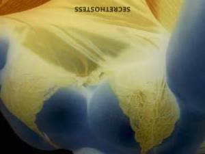 Heather Mason Escort Albany NY Image - 1