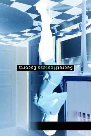 29 year old Russian Escort in Dublin Kati's Sensual Adventures Flirt, Fun, and Fulfillment