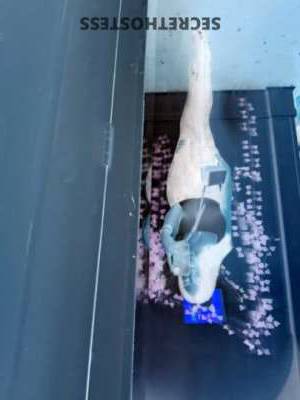 KatieLovee 25Yrs Old Escort Buffalo NY Image - 2