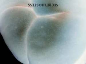 34 year old Escort in Omaha NE Succulent Kitty in Omaha Sweetness and Seduction Specials