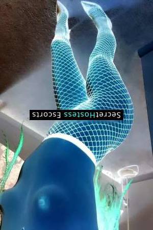 Melted 23Yrs Old Escort 56KG 154CM Tall Tampa FL Image - 1