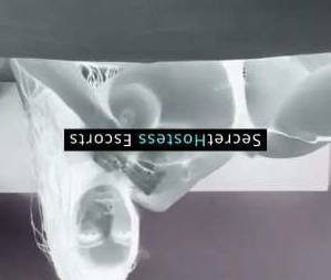 23 year old Hungarian Escort in Brooklyn NY Hungary's Naomi just arrived