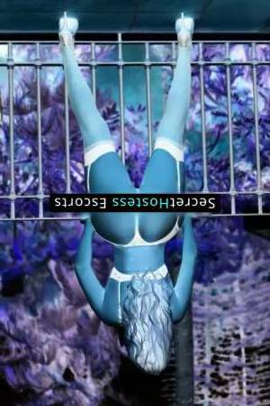 Noelma 28Yrs Old Escort 70KG 170CM Tall Slavonski Brod Image - 9