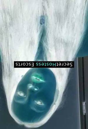 24 year old Escort in Sioux Falls SD the Wildest Fantasies with Sioux Falls Escort Qxxij