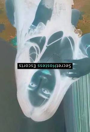 24 year old Chinese Escort in Durres Zhuwei